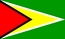 Nationalflagge, Guyana